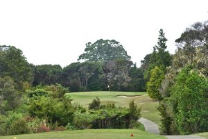 Waitangi 6th